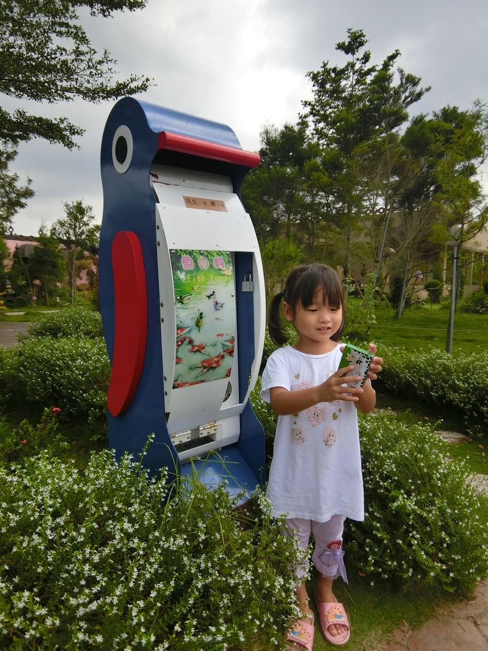 艾米達精靈谷茶樹莊園