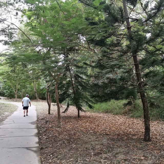 大崗山步道