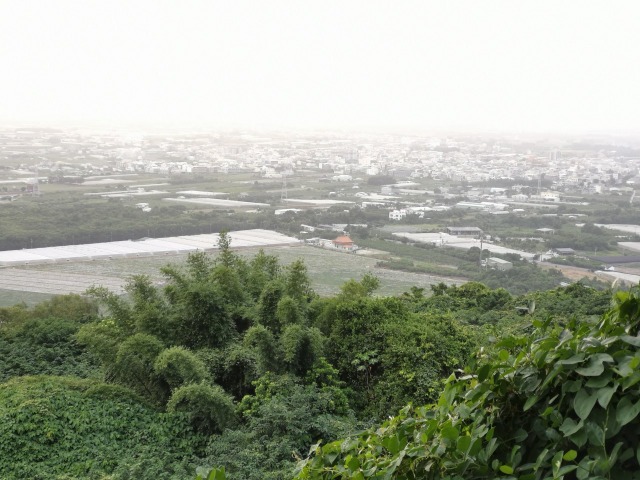 大崗山景觀